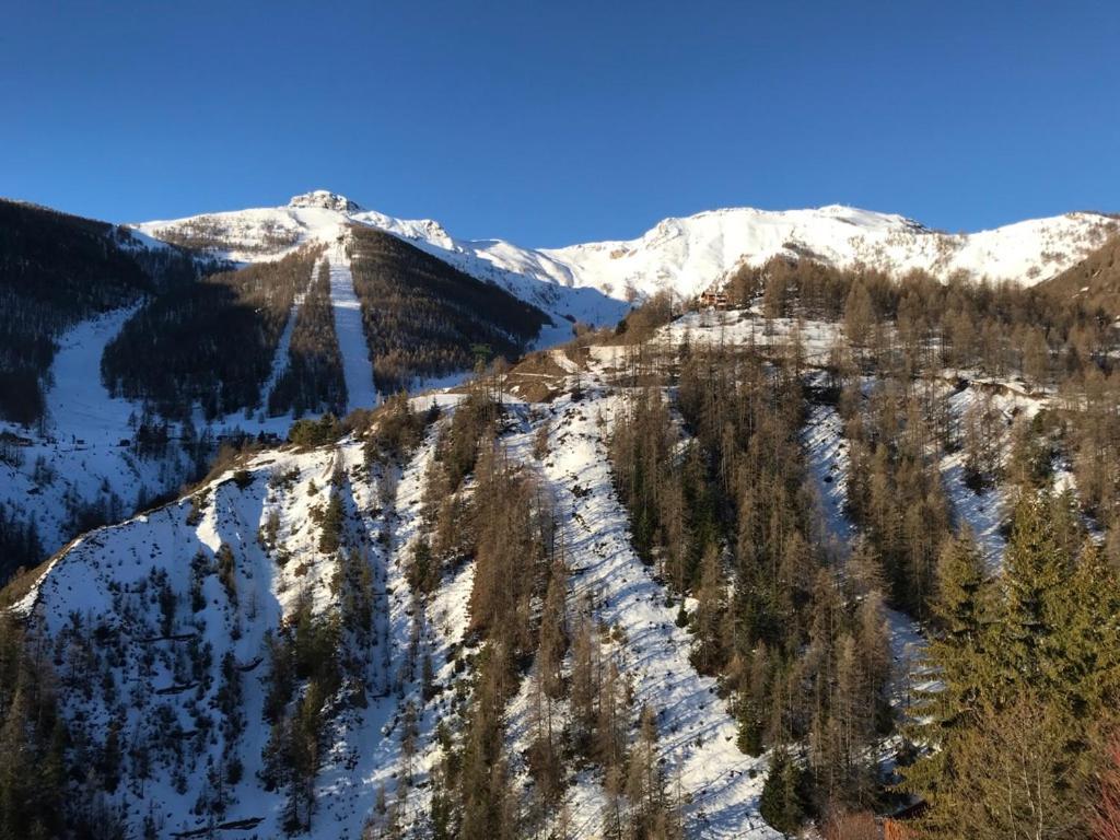 Magnifique 2 Pieces Proche Place D'Auron Exteriör bild